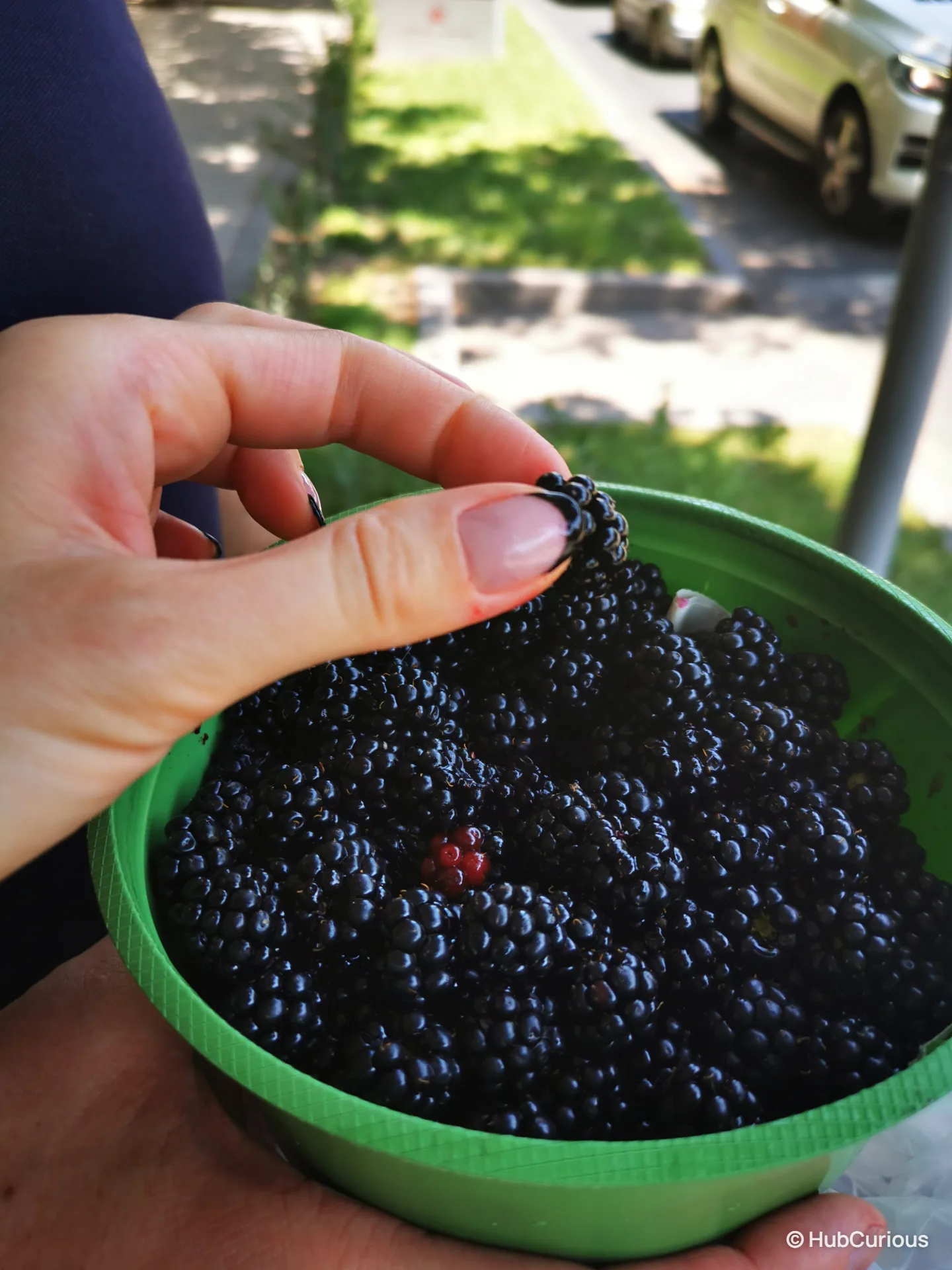 Hand picking a blackberry from a green bucket full of fresh blackberries on a Yerevan side street